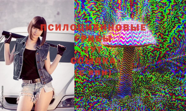 марихуана Абинск