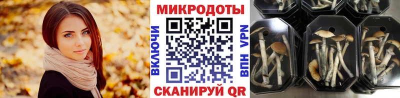 кракен как войти  цены   Стерлитамак  Галлюциногенные грибы Cubensis 